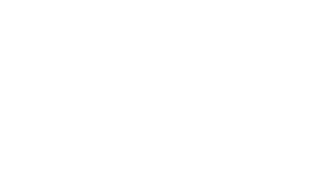 P. T. Horizon Consulting